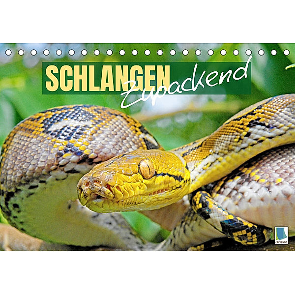 Schlangen: Zupackend (Tischkalender 2023 DIN A5 quer), Calvendo