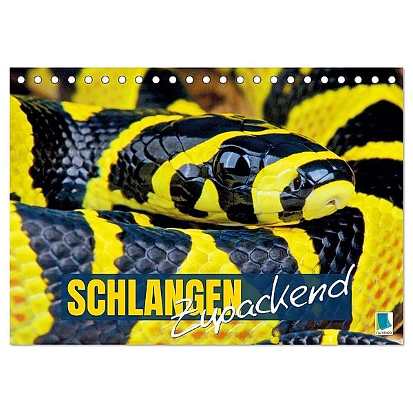 Schlangen: Zupackend (Tischkalender 2025 DIN A5 quer), CALVENDO Monatskalender, Calvendo