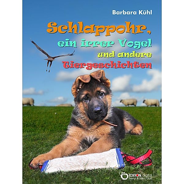 Schlappohr, ein irrer Vogel und andere Tiergeschichten, Barbara Kühl