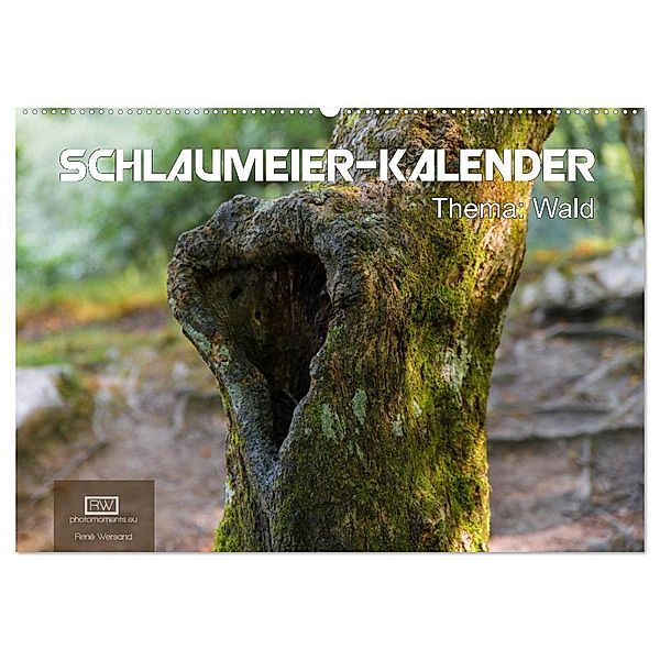 Schlaumeier-Kalender - Thema: Wald (Wandkalender 2024 DIN A2 quer), CALVENDO Monatskalender, René Wersand