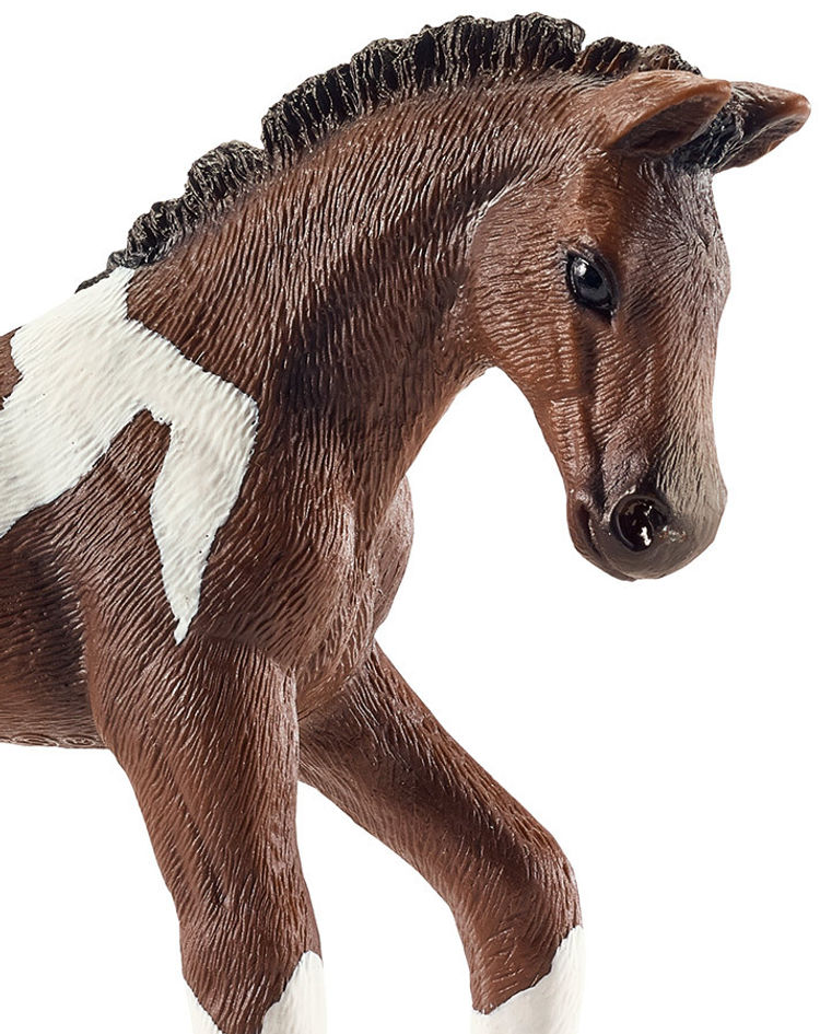 Schleich® 13758 Farm Life – Trakehner Fohlen | Weltbild.de