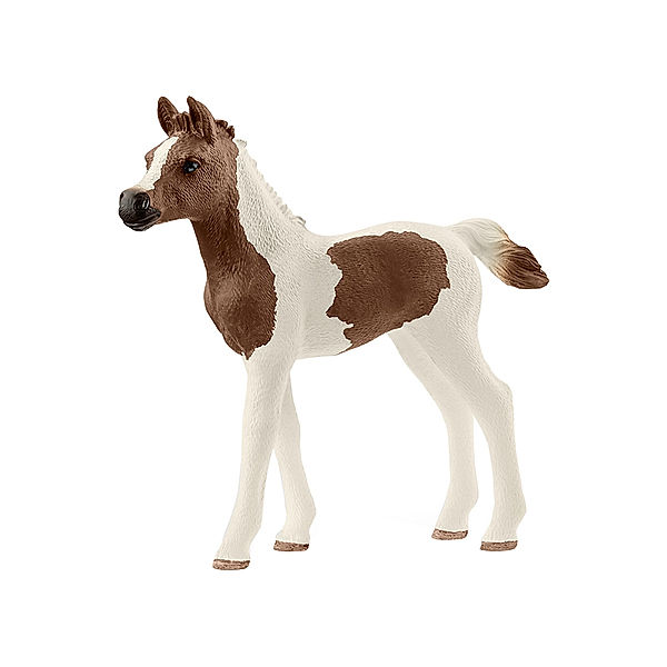 schleich® Schleich® 13839 Horse Club – Araberpinto Fohlen