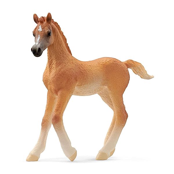 schleich® schleich® 13984 Horse Club - Araber Fohlen