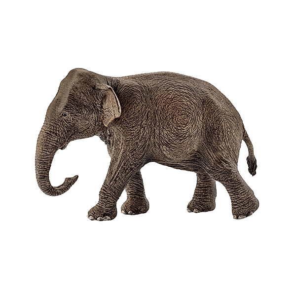 schleich® schleich® 14753 Wild Life – Asiatische Elefantenkuh, Schleich®