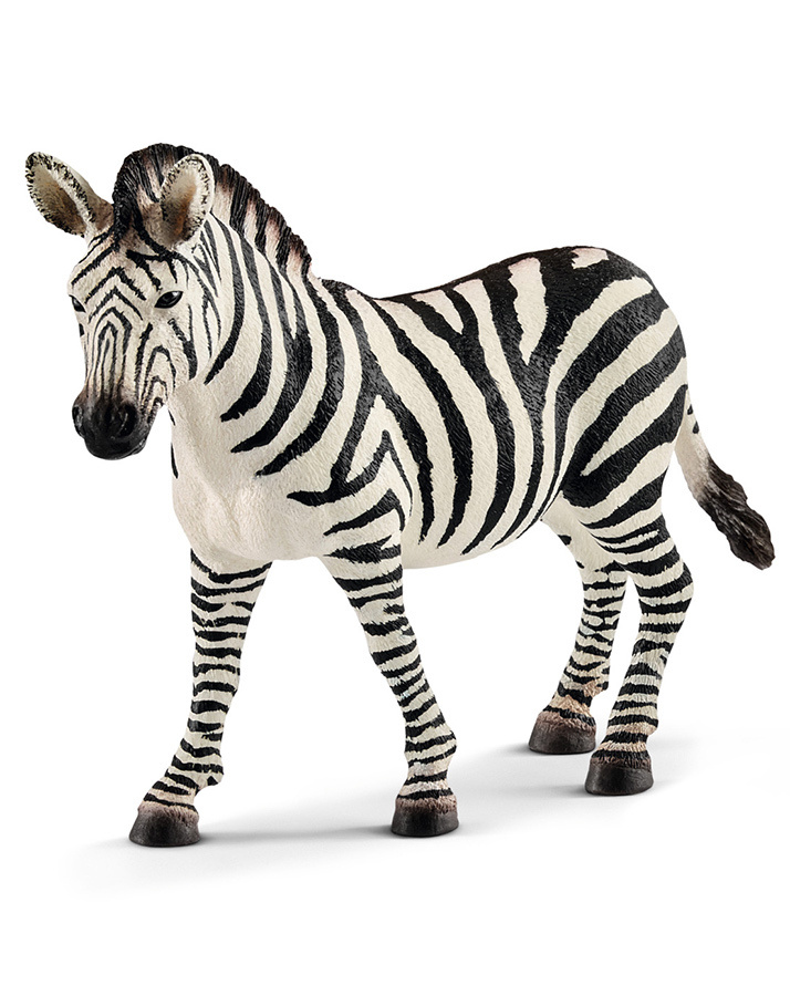 Schleich Wild Life 14810   Zebra Stute   Neuheit 2018 