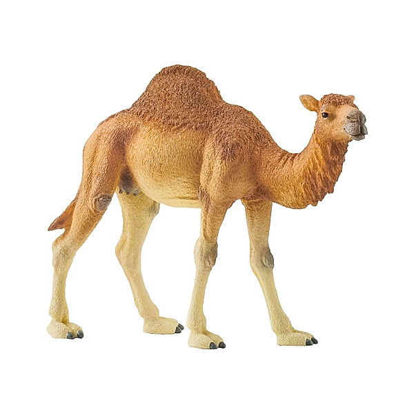 schleich® schleich® 14832 Wild Life – Dromedar