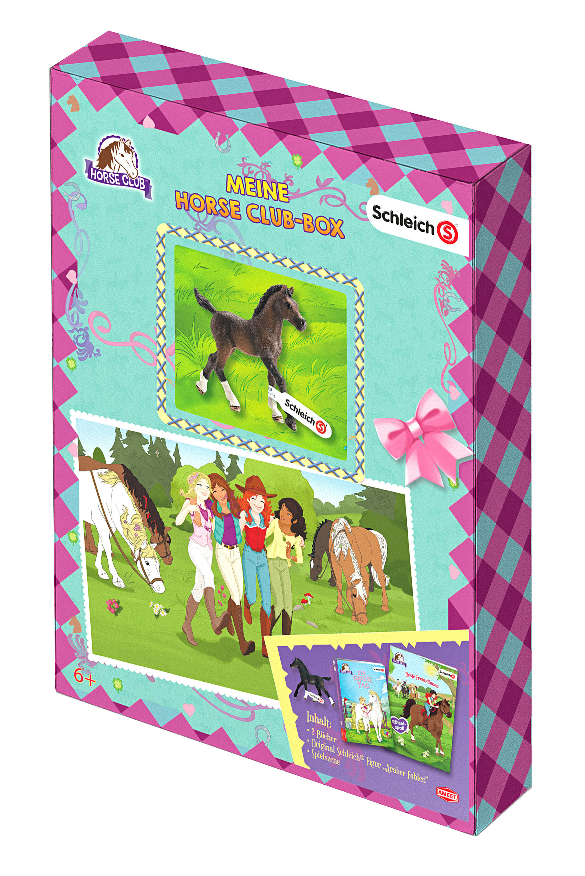 SCHLEICH® Horse Club TM - Meine Horse-Club-Box, m. Minifigur Buch  versandkostenfrei bei Weltbild.ch bestellen