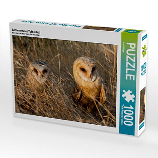 Schleiereule (Tyto alba) (Puzzle), Axel Hilger