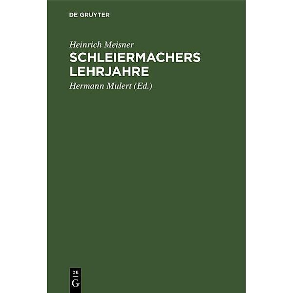 Schleiermachers Lehrjahre, Heinrich Meisner