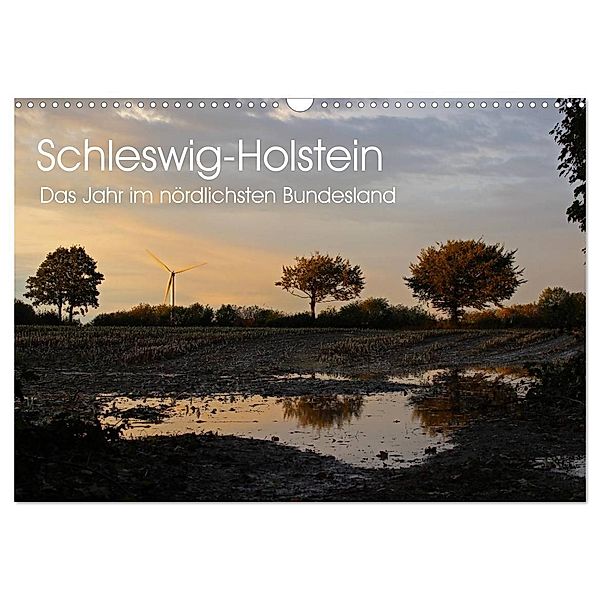 Schleswig-Holstein (Wandkalender 2025 DIN A3 quer), CALVENDO Monatskalender, Calvendo, Ralf Thomsen