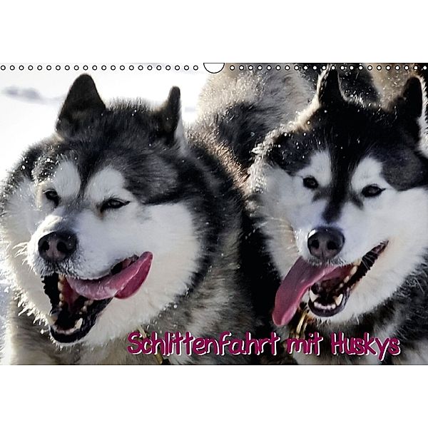 Schlittenfahrt mit Huskys (Wandkalender 2014 DIN A3 quer)