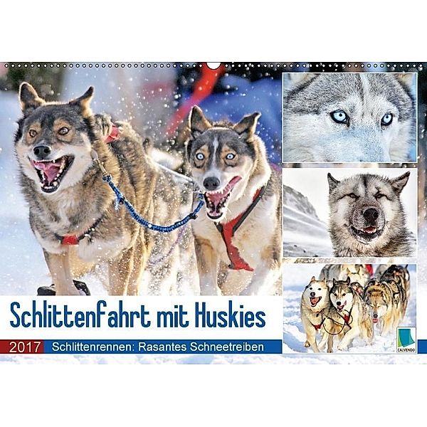 Schlittenfahrt mit Huskys (Wandkalender 2017 DIN A2 quer), CALVENDO