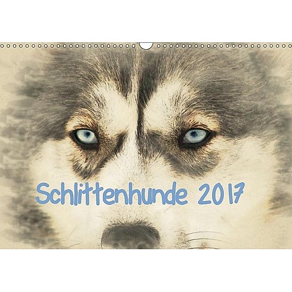 Schlittenhunde 2017 (Wandkalender 2017 DIN A3 quer), Andrea Redecker