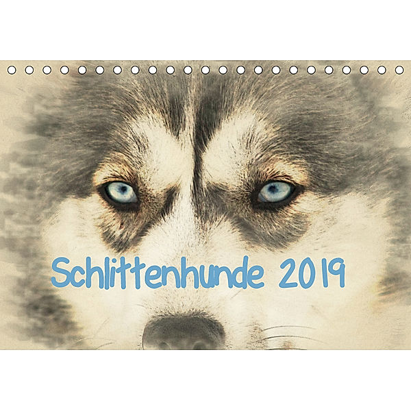 Schlittenhunde 2019 (Tischkalender 2019 DIN A5 quer), Andrea Redecker