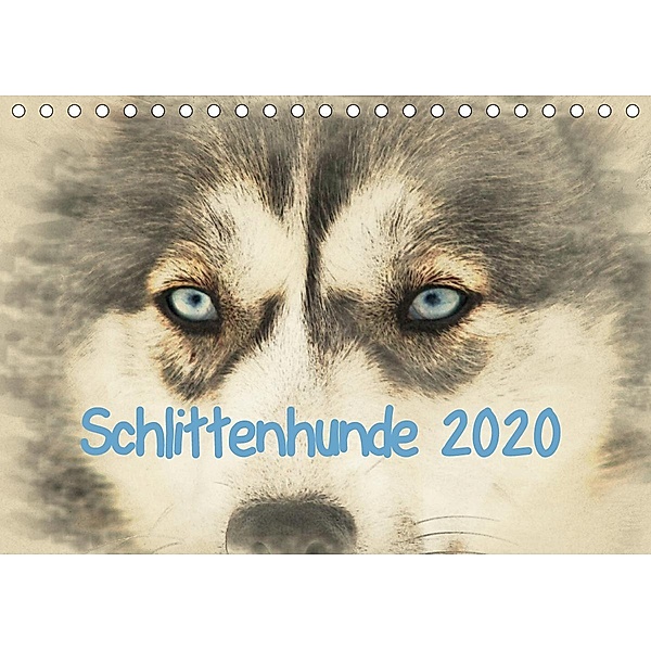 Schlittenhunde 2020 (Tischkalender 2020 DIN A5 quer), Andrea Redecker