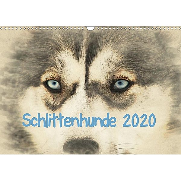 Schlittenhunde 2020 (Wandkalender 2020 DIN A3 quer), Andrea Redecker