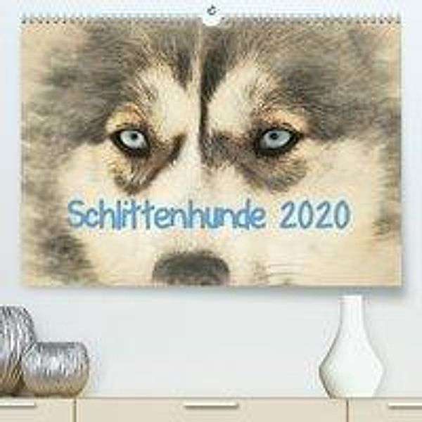 Schlittenhunde 2020(Premium, hochwertiger DIN A2 Wandkalender 2020, Kunstdruck in Hochglanz), Andrea Redecker