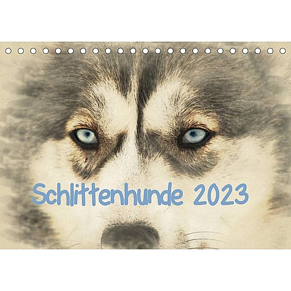 Schlittenhunde 2023 (Tischkalender 2023 DIN A5 quer), Andrea Redecker