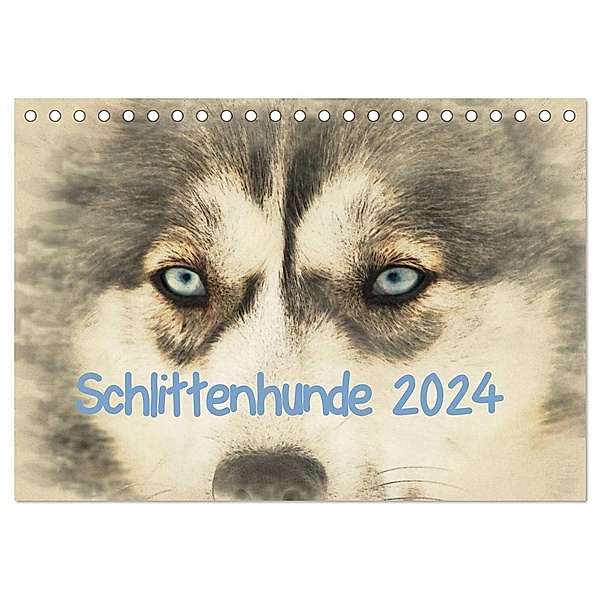 Schlittenhunde 2024 (Tischkalender 2024 DIN A5 quer), CALVENDO Monatskalender, Andrea Redecker