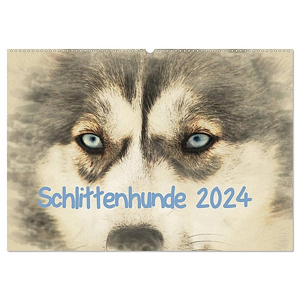 Schlittenhunde 2024 (Wandkalender 2024 DIN A2 quer), CALVENDO Monatskalender, Andrea Redecker