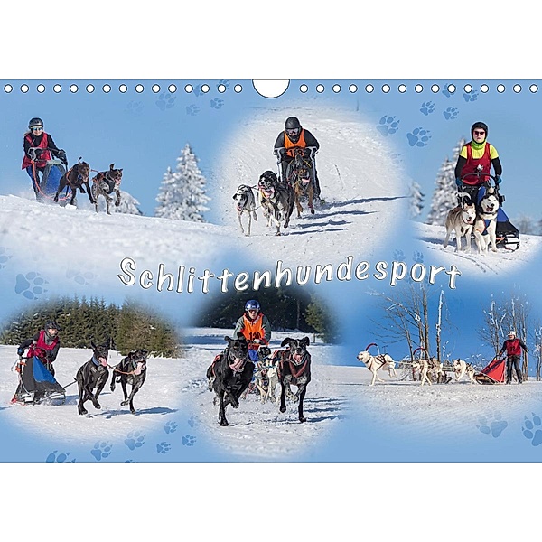 Schlittenhundesport (Wandkalender 2021 DIN A4 quer), Heiko Eschrich - HeschFoto