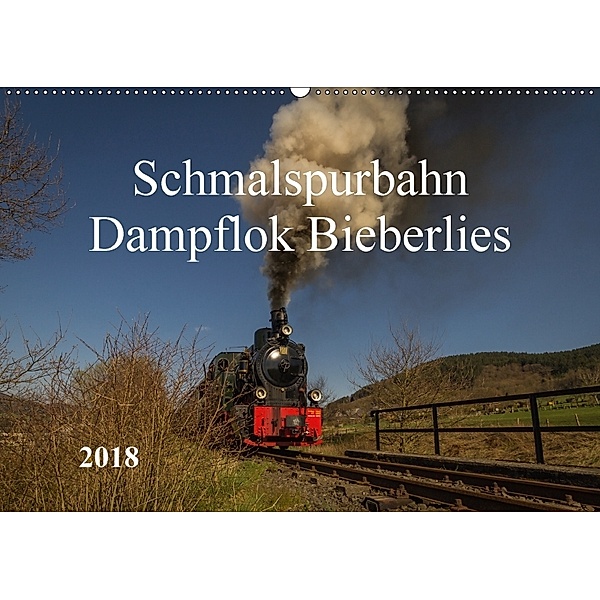 Schmalspurbahn Dampflok Bieberlies (Wandkalender 2018 DIN A2 quer), Simone Rein