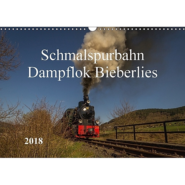 Schmalspurbahn Dampflok Bieberlies (Wandkalender 2018 DIN A3 quer), Simone Rein