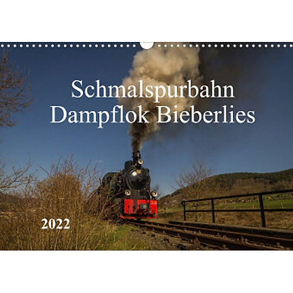 Schmalspurbahn Dampflok Bieberlies (Wandkalender 2022 DIN A3 quer), Simone Rein