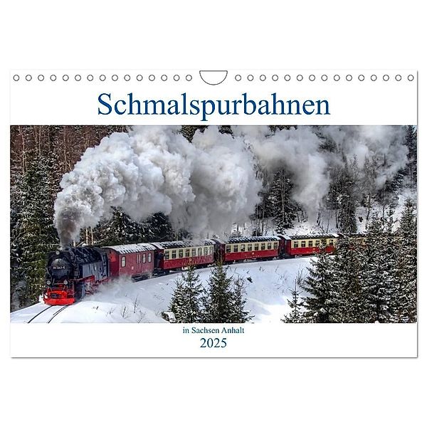 Schmalspurbahnen in Sachsen Anhalt (Wandkalender 2025 DIN A4 quer), CALVENDO Monatskalender, Calvendo, Steffen Gierok