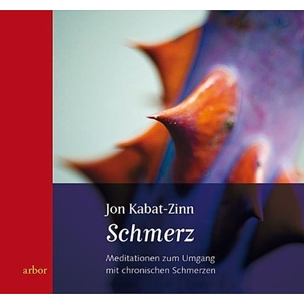 Schmerz, Jon Kabat-Zinn, Britta Hölzel