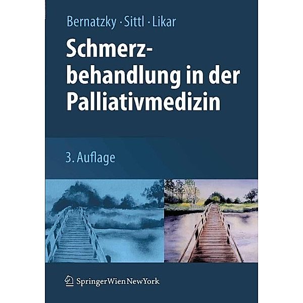 Schmerzbehandlung in der Palliativmedizin