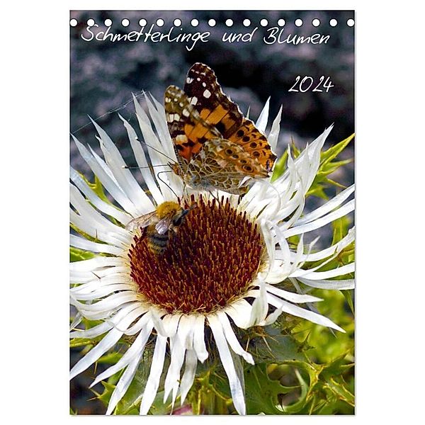 Schmetterlilnge und Blumen (Tischkalender 2024 DIN A5 hoch), CALVENDO Monatskalender, Calvendo