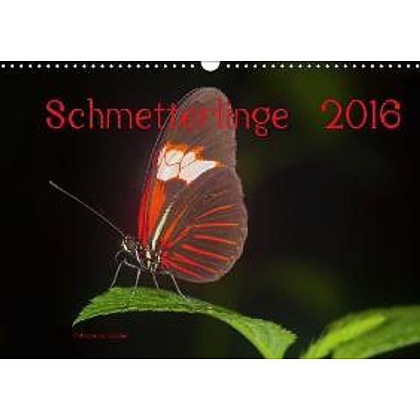 Schmetterlinge 2016 CH-Version (Wandkalender 2016 DIN A3 quer), Alois J. Koller 4pictures.ch