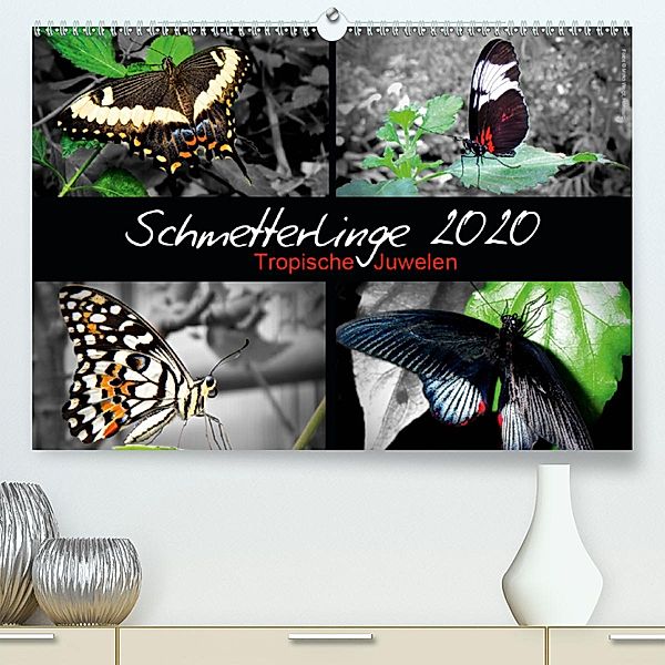 Schmetterlinge 2020 - Tropische Juwelen(Premium, hochwertiger DIN A2 Wandkalender 2020, Kunstdruck in Hochglanz), © Mirko Weigt