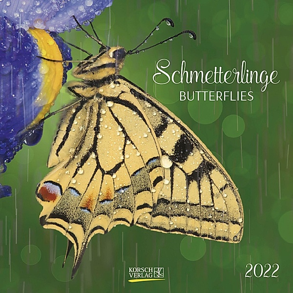Schmetterlinge 2022