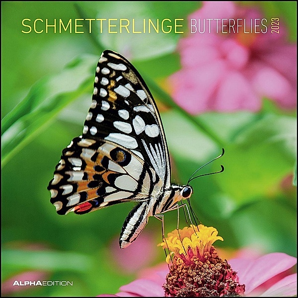 Schmetterlinge 2023 - Broschürenkalender 30x30 cm (30x60 geöffnet) - Kalender mit Platz für Notizen - Butterflies - Bild