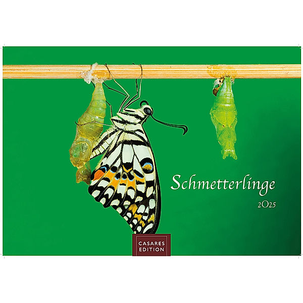 Schmetterlinge 2025 S 24x35cm