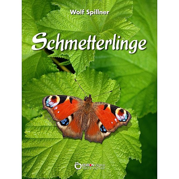 Schmetterlinge, Wolf Spillner