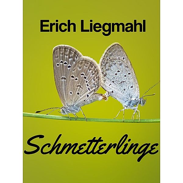 Schmetterlinge, Erich Liegmahl