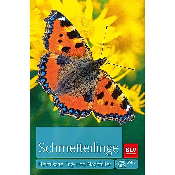 Schmetterlinge, Wolfgang Dierl