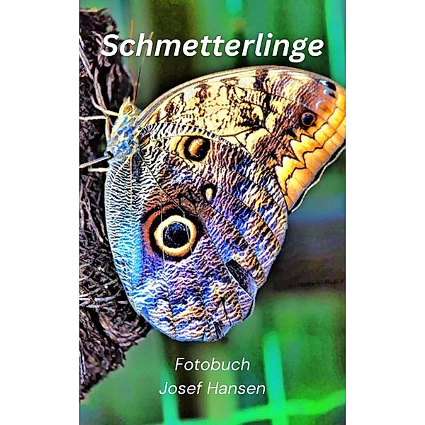 Schmetterlinge, Josef Hansen