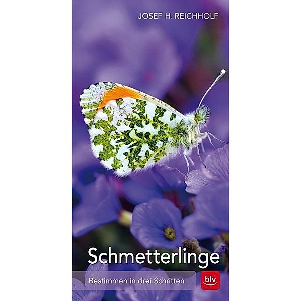Schmetterlinge, Josef H. Reicholf