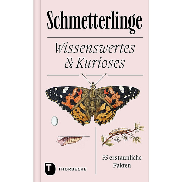 Schmetterlinge