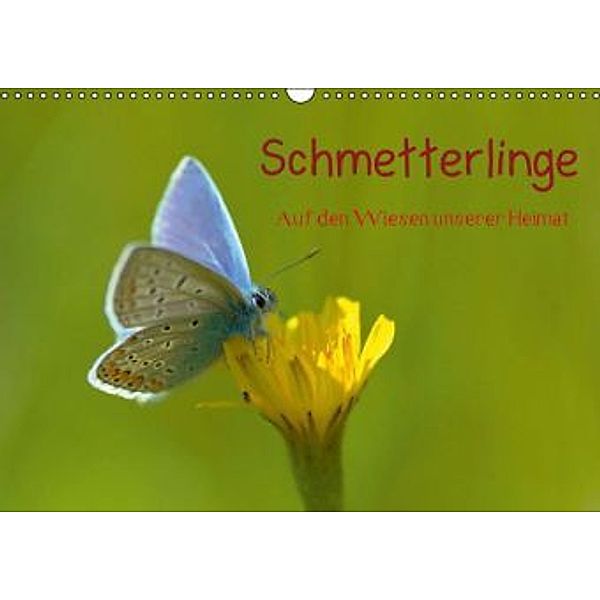 Schmetterlinge-Auf den Wiesen unserer Heimat (Wandkalender 2015 DIN A3 quer), Lutz Klapp