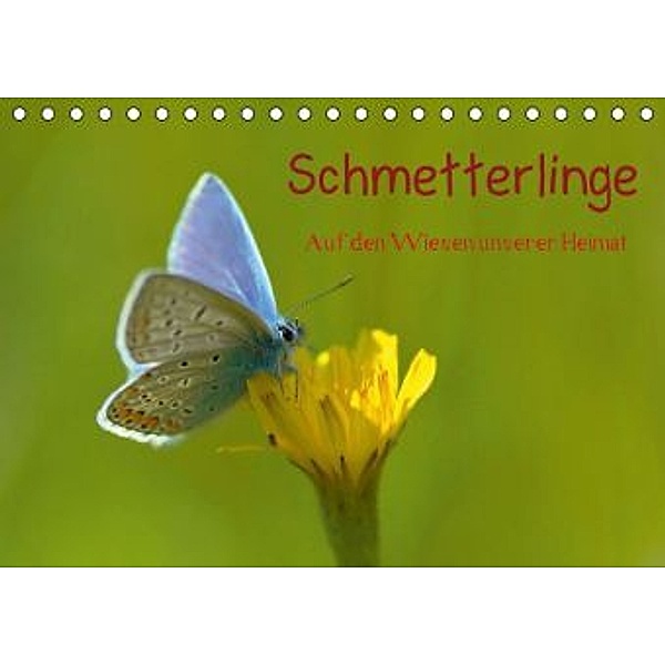 Schmetterlinge-Auf den Wiesen unserer Heimat (Tischkalender 2015 DIN A5 quer), Lutz Klapp