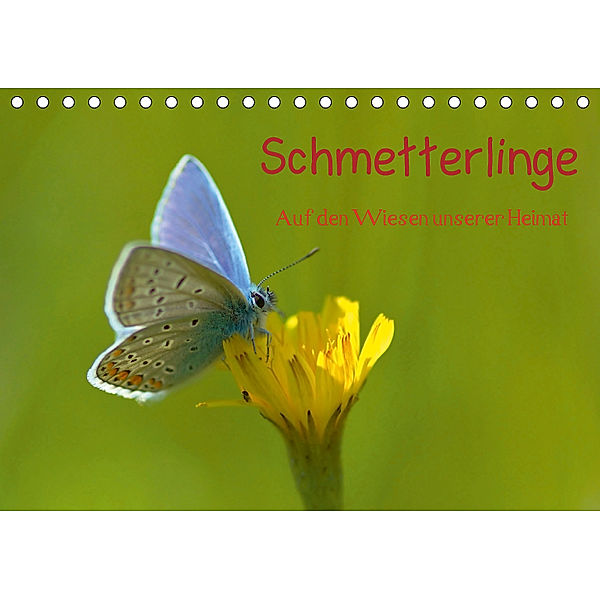 Schmetterlinge-Auf den Wiesen unserer Heimat (Tischkalender 2019 DIN A5 quer), Lutz Klapp