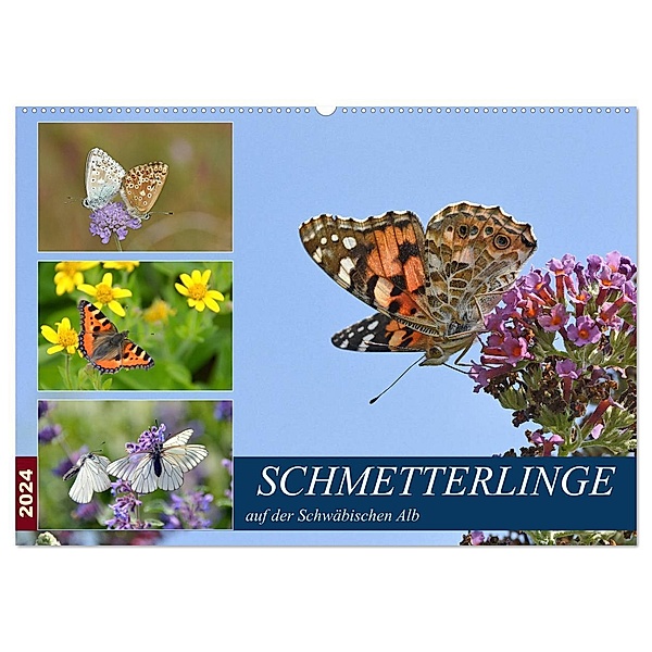 Schmetterlinge auf der Schwäbischen Alb (Wandkalender 2024 DIN A2 quer), CALVENDO Monatskalender, Gugigei