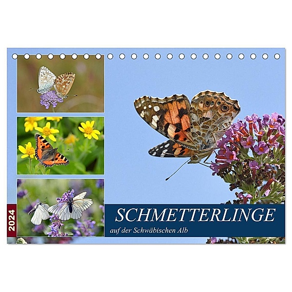Schmetterlinge auf der Schwäbischen Alb (Tischkalender 2024 DIN A5 quer), CALVENDO Monatskalender, Gugigei