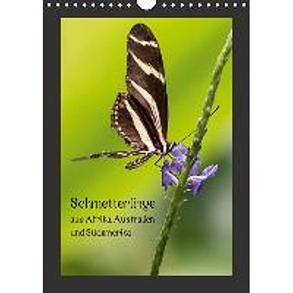 Schmetterlinge aus Afrika, Australien und Südamerika (Wandkalender 2015 DIN A4 hoch), Wilhelm Behrends