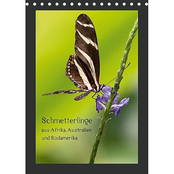 Schmetterlinge aus Afrika, Australien und Südamerika (Tischkalender 2021 DIN A5 hoch), Wilhelm Behrends